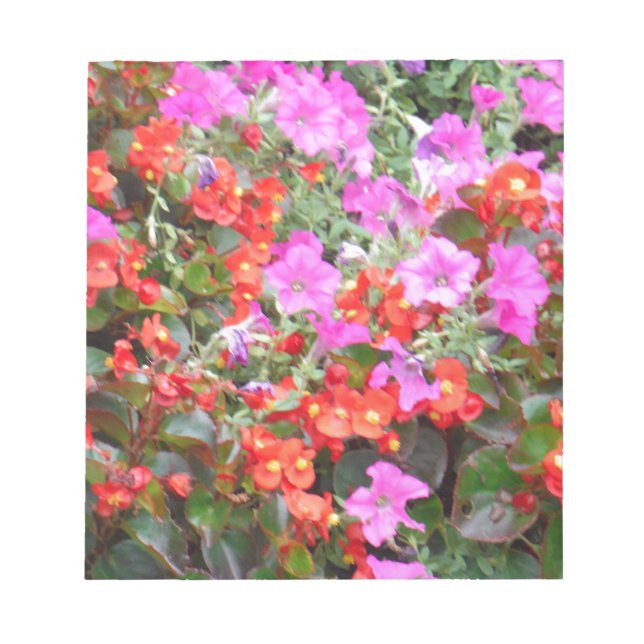 Pink petunia and red geraniums notepad (Front)