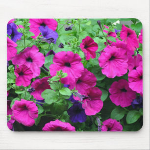 Pink petunia beauty mouse pad