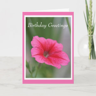 Pink Petunia Birthday Greetings Card