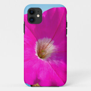 pink petunia flower in blue background. iPhone 11 case