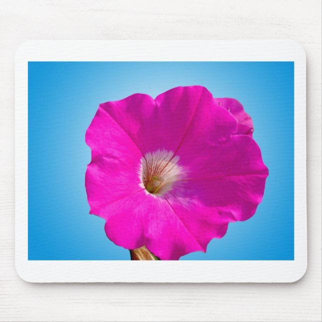 pink petunia flower in blue background. mouse pad (Front)