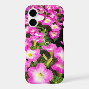 pink petunia plants