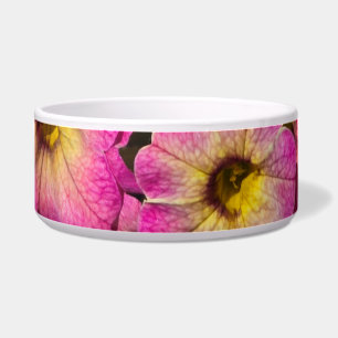 Pink petunias