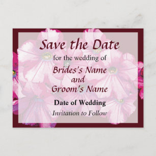 Pink Petunias Announcement Postcard