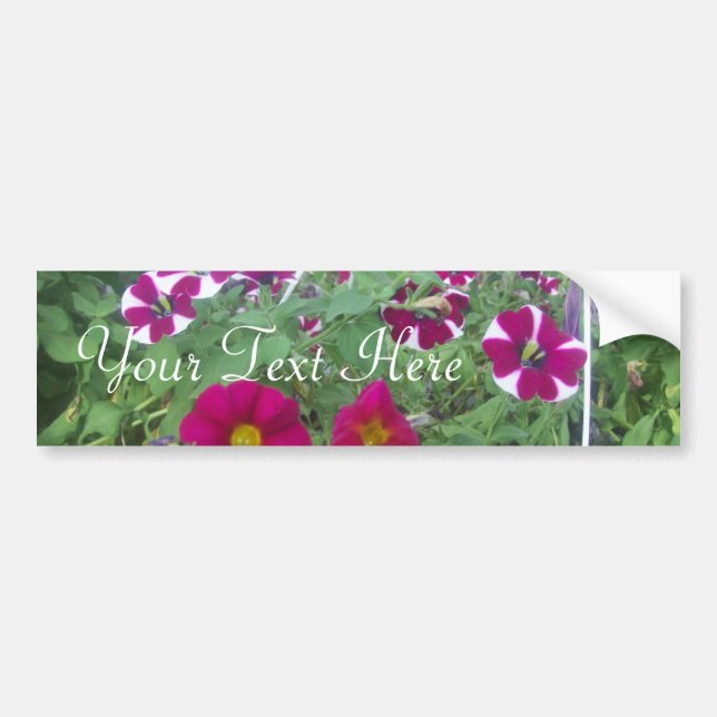 Pink Petunias Bumper Sticker (Front)