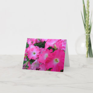 Pink petunias card