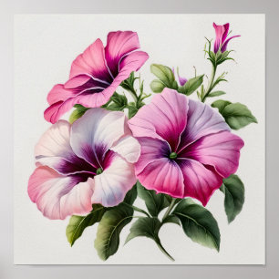 Pink Petunias Flower Art Print Poster