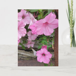 Pink Petunias Thinking of You Card