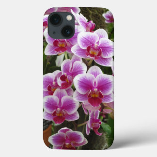 Pink Phalaenopsis iPhone 13 Case