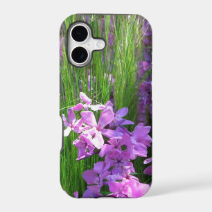 Pink Phlox and Grass Summer Floral