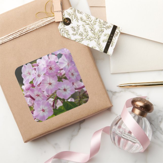 Pink Phlox Flower, Canadian Photography Square Sticker (Gifting)