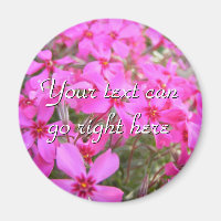 Pink Phlox Flowers Magnet