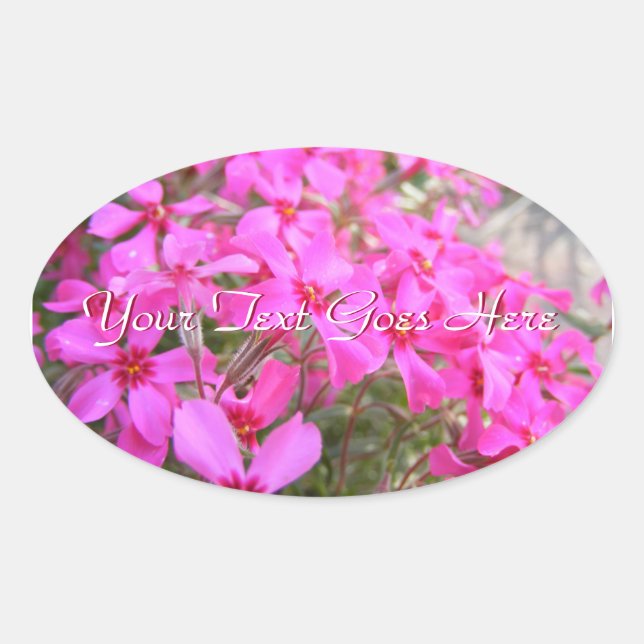 Pink Phlox Flowers Stickers (Front)