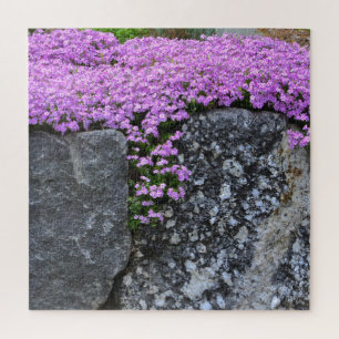 Pink Phlox on Boulder Jigsaw Puzzle