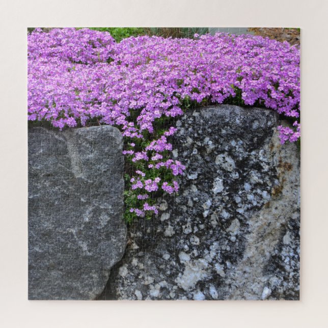 Pink Phlox on Boulder Jigsaw Puzzle (Vertical)