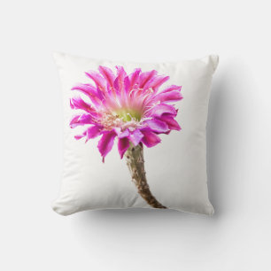 Pink Piazza cactus flower in bloom Cushion