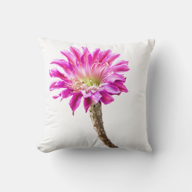 Pink Piazza cactus flower in bloom Cushion (Front)