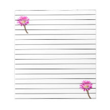 Pink Piazza cactus flower in bloom