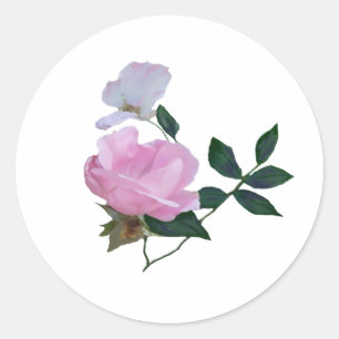 Pink Pic Nick Rose Classic Round Sticker