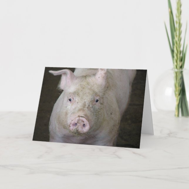 Pink Pig All Occasions  Card (Front)