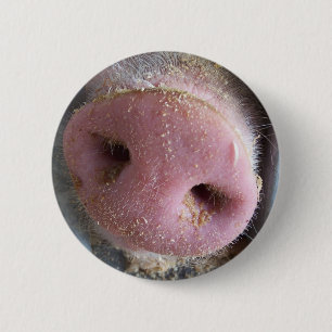 Pink Pig nose close up photograph 6 Cm Round Badge
