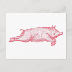 Pink Pig Postcard