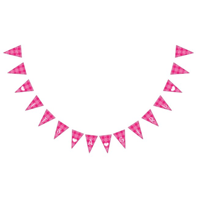 Pink Plaid Its a Girl Baby Shower Bunting Bunting (All)