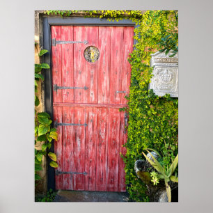  Pink Plants Wood Door St Augustine Florida Photo Poster