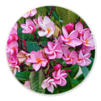Pink Plumeria Ceramic Knob