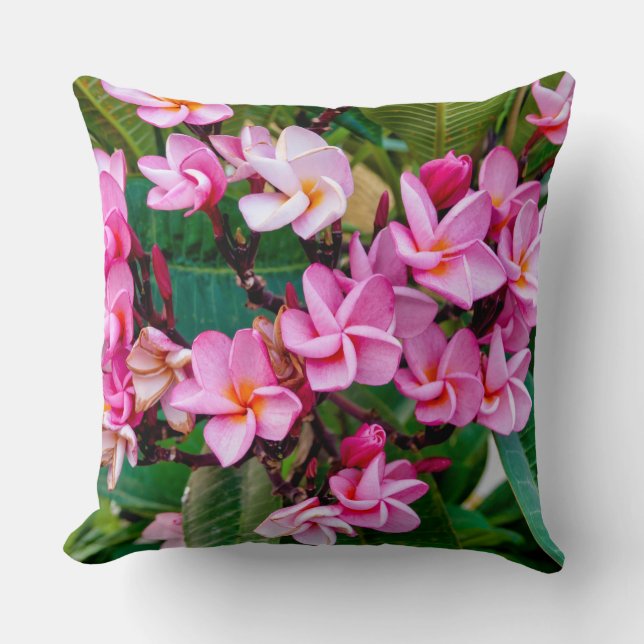Pink Plumeria Cushion (Front)
