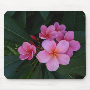 Pink Plumeria Floral Images Mouse Pad
