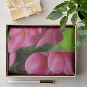 Pink Plumeria Floral Photo Tissue Paper