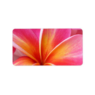 Pink Plumeria Frangipani Hawaii Flower Hawaiian Label