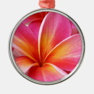 Pink Plumeria Frangipani Hawaii Flower Hawaiian Metal Ornament