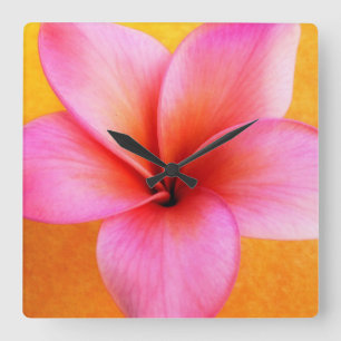 Pink Plumeria Frangipani Hawaii Flower Hawaiian Square Wall Clock