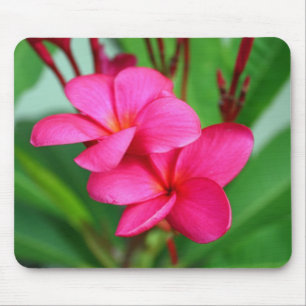 Pink Plumeria Frangipani Hawaiian Flower Mouse Pad