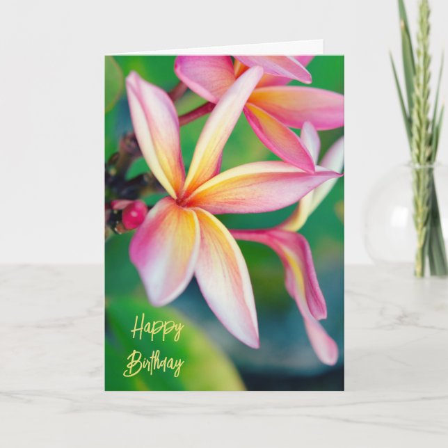 Pink Plumeria Happy Birthday Card (Front)