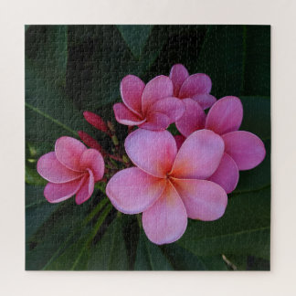 Pink Plumeria Hawaiian Flower Photo Jigsaw Puzzle