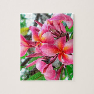 Pink Plumeria or Frangipani flower Jigsaw Puzzle
