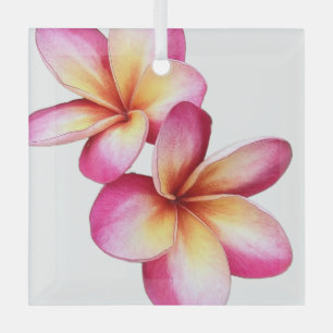 Pink Plumeria Ornament