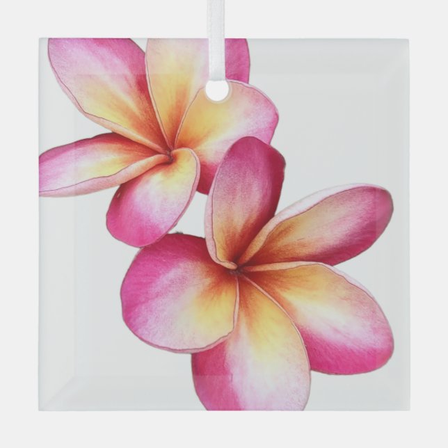 Pink Plumeria Ornament (Front)