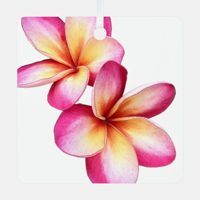 Pink Plumeria Ornament (Front)