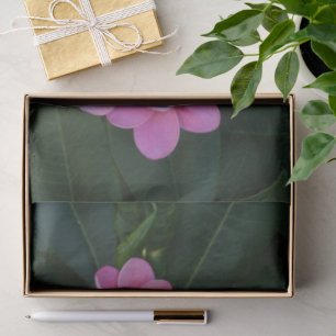 Pink Plumria Photo Tissue Paper