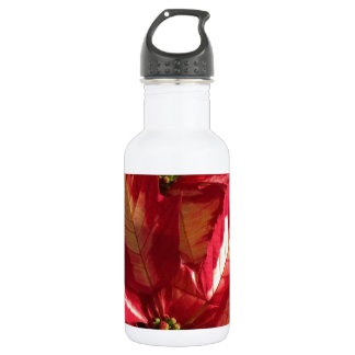 Pink Poinsettia 532 Ml Water Bottle