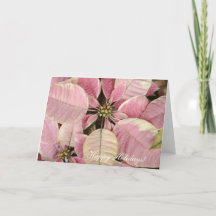 Pink Poinsettias Holiday Card
