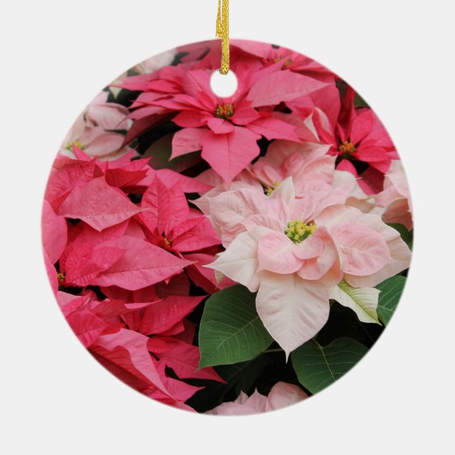 Pink Poinsettias Ornament (Back)