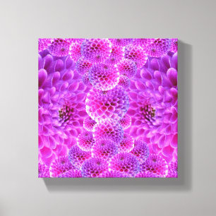 Pink PomPom Dahlia Flowers Canvas Print