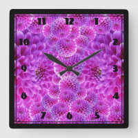 Pink PomPom Dahlia Flowers