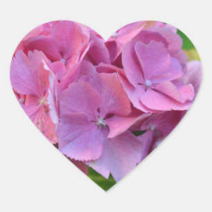 Pink Pompom Hydrangea Hortensia Flower Heart Sticker