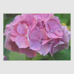 Pink Pompom Hydrangea Hortensia Flower Tissue Paper